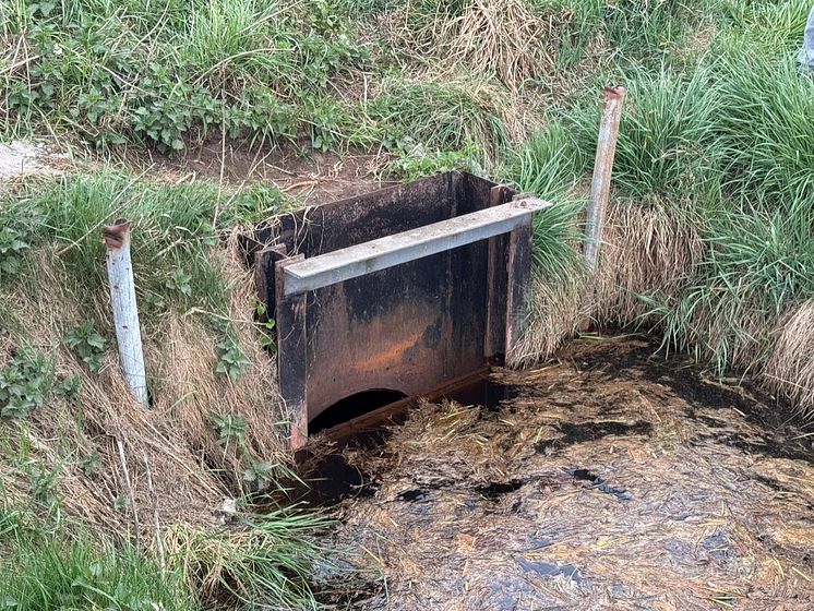Wassermanagement auf landwirtschaftlichen Flächen | Delegation aus dem Oldenburger Münsterland besucht Vorzeigebetriebe in den Niederlanden