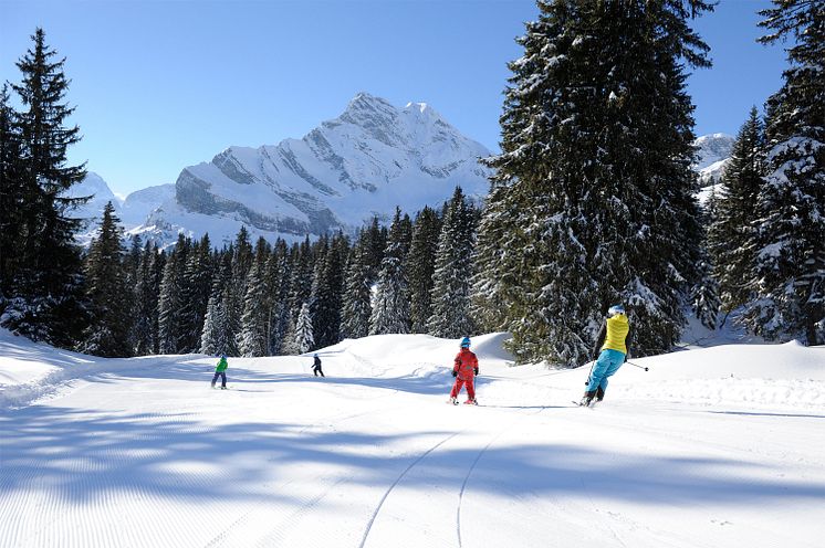 Panoramapiste_Braunwald