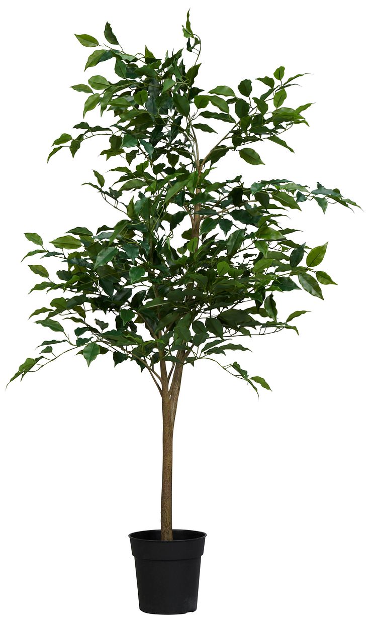 NYHET! Pot plant Banyan 148 cm Artificial material 49,90 EUR.jpg