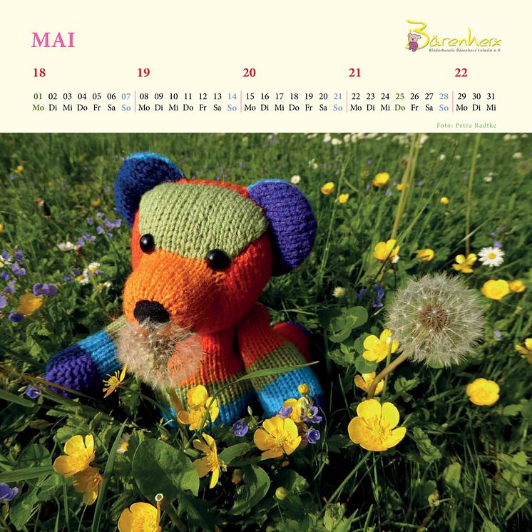 Mit Bärenherz durchs Jahr -  Der neue Bärenherz-Kalender ist da