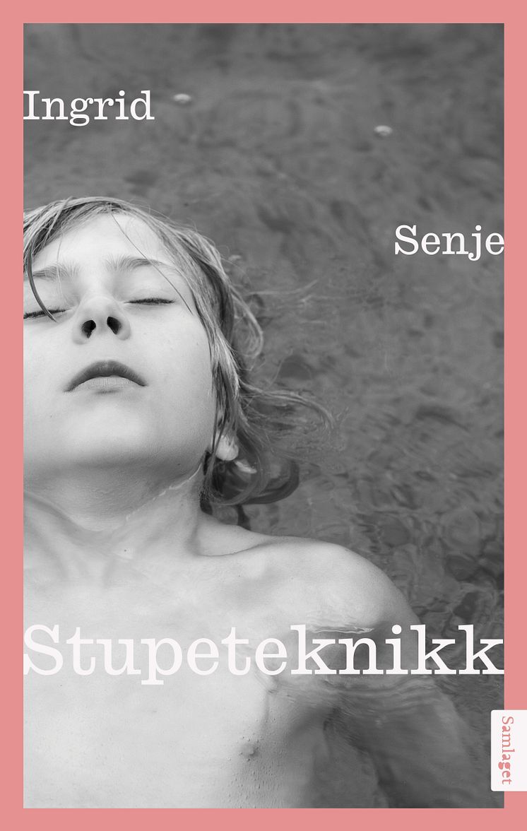 9788234002946 Ingrid Senje_Stupeteknikk.jpg