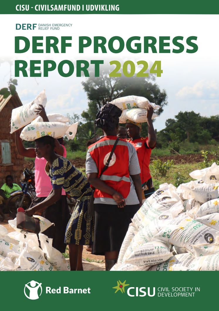 DERF Progress Report 2024.pdf