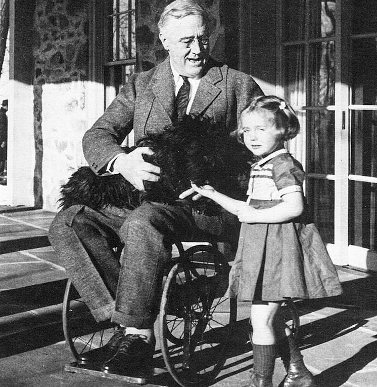 Franklin D. Roosevelt, i rullstol