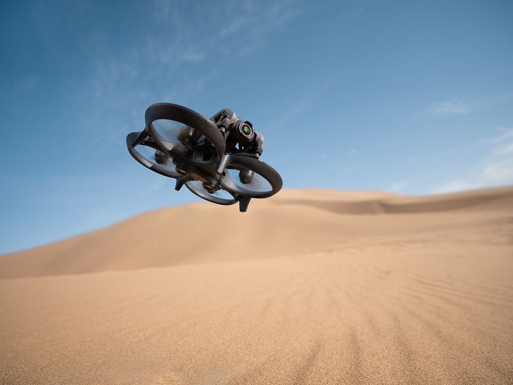 DJI Avata - Desert Shot 10