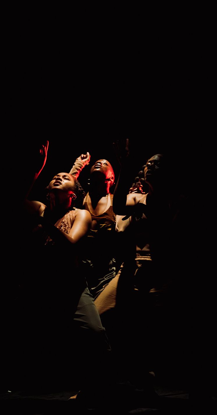 Company Nicolas Huchard - The barefoot diva
