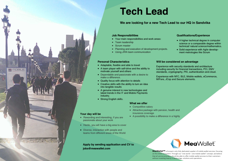 MeaWallet is looking for Tech Lead