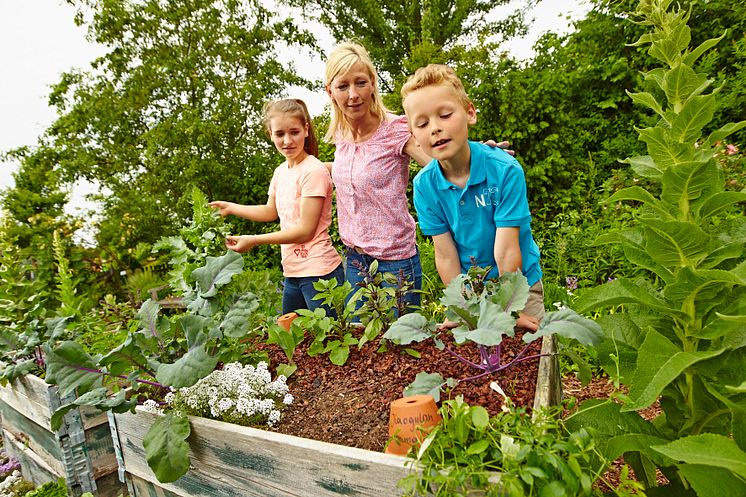 Floragard Hochbeet_Kinder.jpg