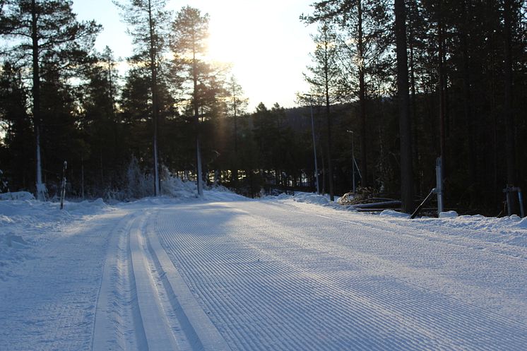 Lofsdalens konstsnöspår