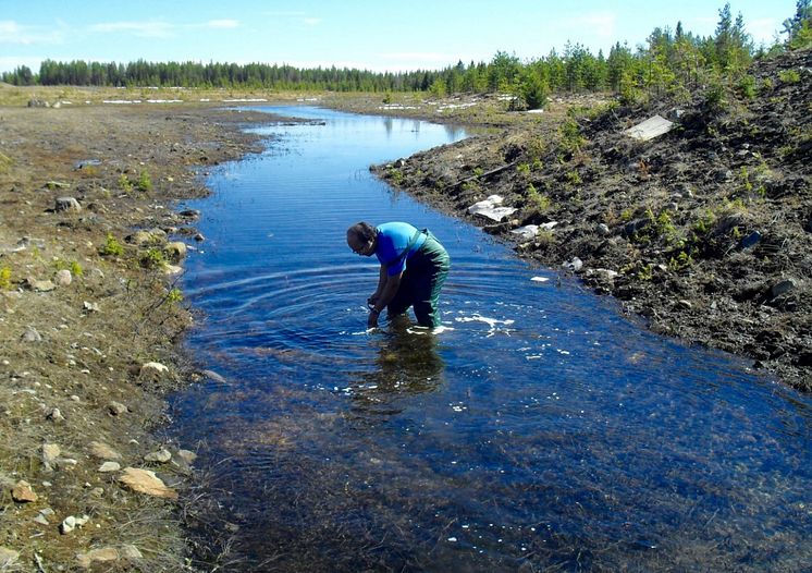 Arifin Sandhi samlar moss- och vattenprover från gruvdriftarealerna i Skelleftefältet, Sverige.