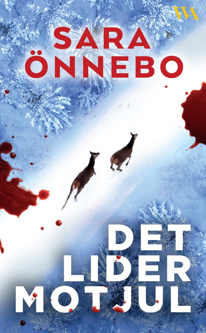 det-lider-mot-jul-pocket-720x1165.jpg