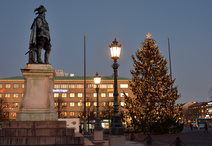 Julgran Gustaf Adolfs torg 2019