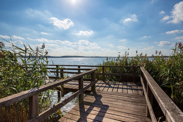 Blankensee im Naturpark Nuthe-Nieplitz