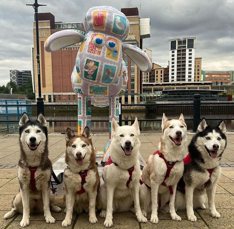 Summer Stamps with Beautiful Dogs