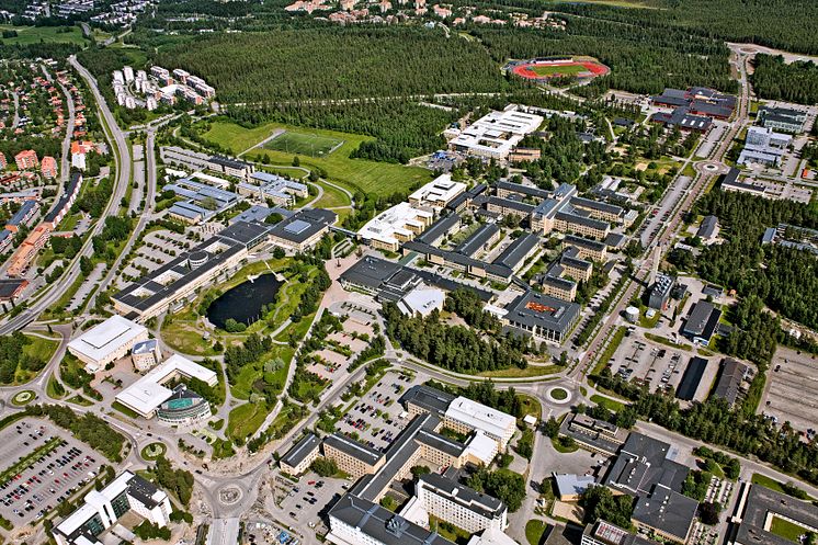 Översiktsbild Lilljansberget i Umeå