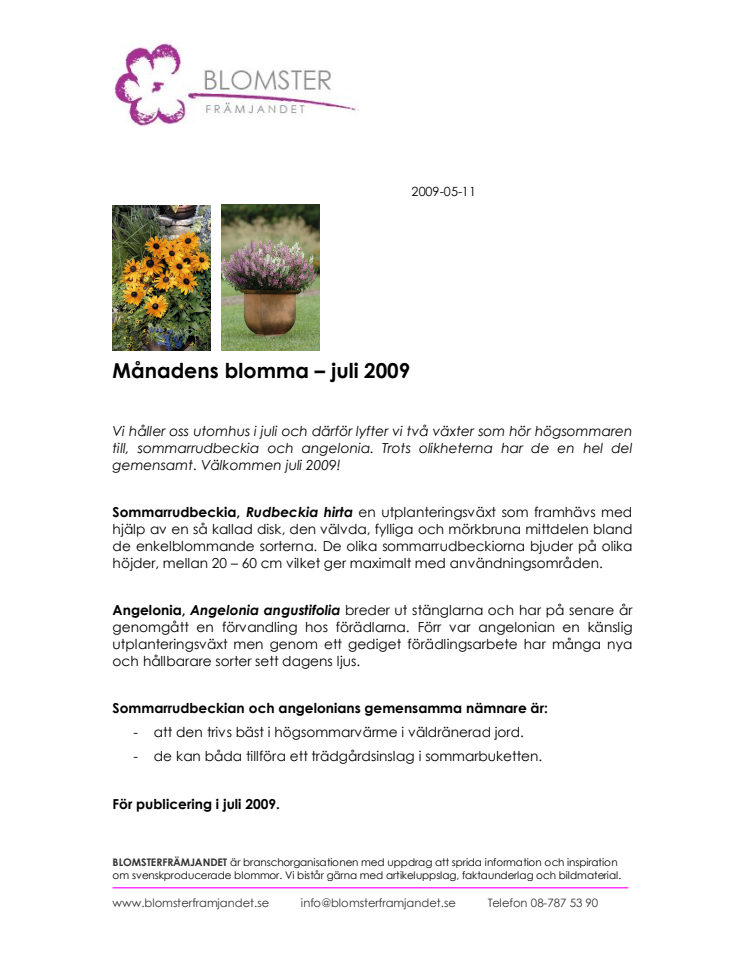 Månadens blomma - juli 2009