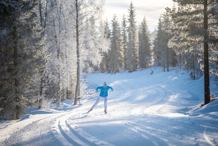 Vinterlige Trysil