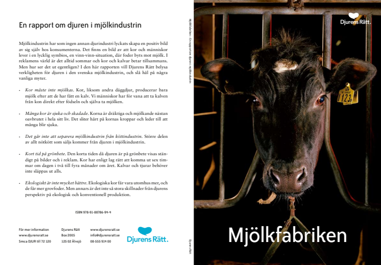 Djurens Rätts rapport Mjölkfabriken