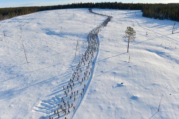 Bara ett fåtal startplatser kvar till Vasaloppets vintervecka 2014