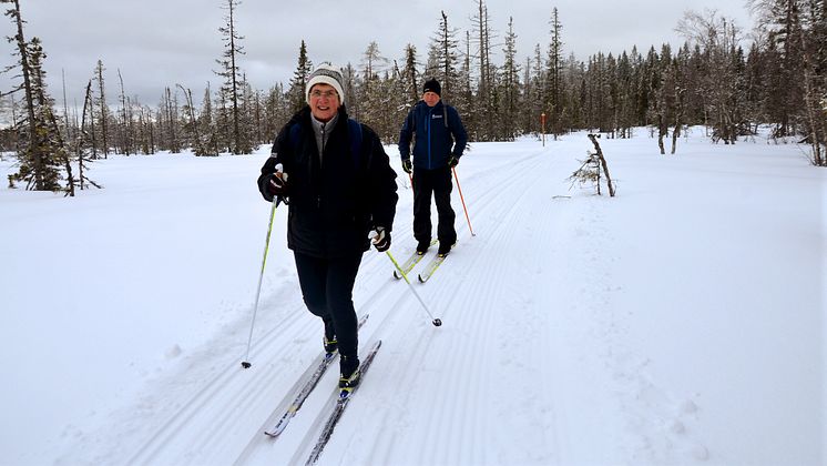 Skidor-Ylva-Thörn.JPG