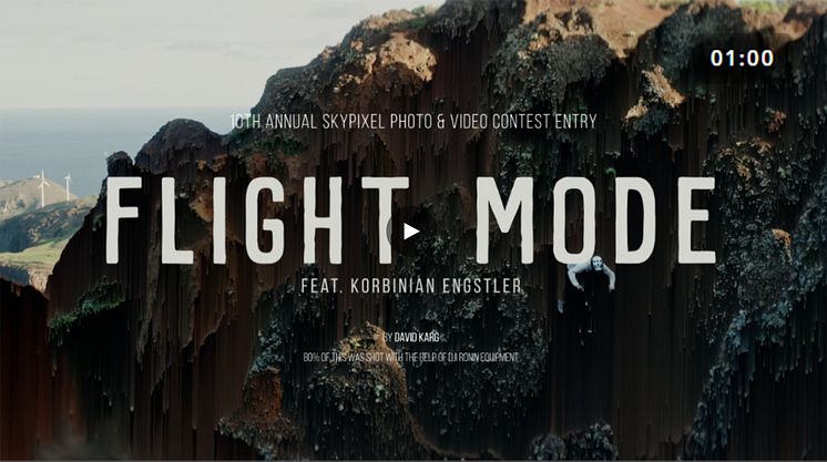 FLIGHT MODE_David Karg.jpg