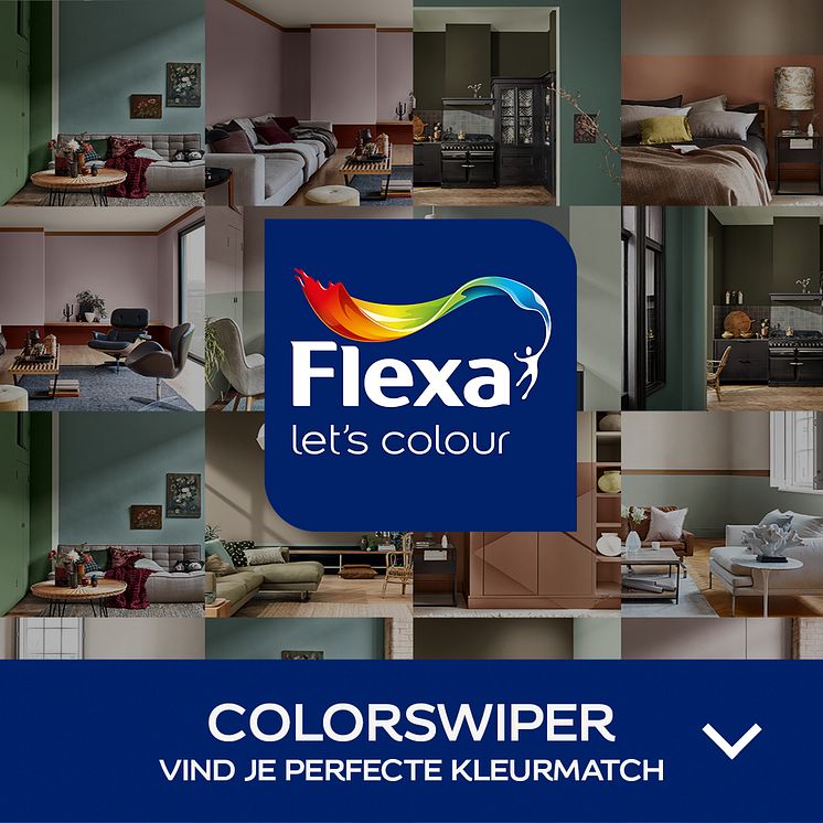 Flexa_ColorSwiper_DO_StaticLinkAd