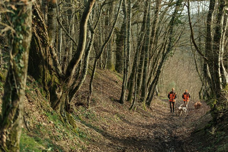 Garmin Hundegerät K 5X