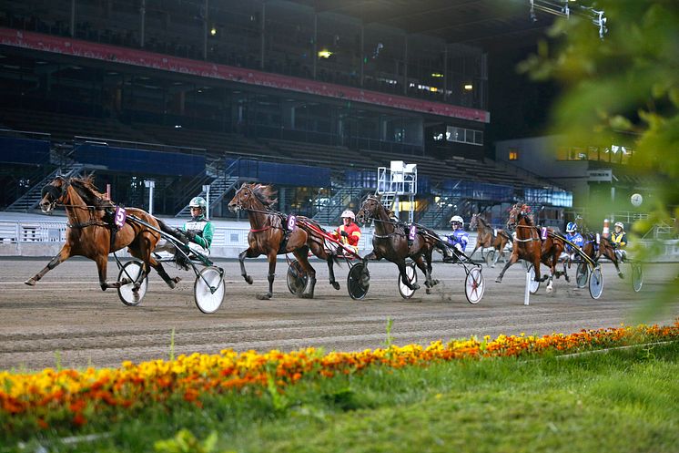 Lopp kvällstrav Solvalla