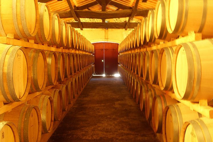 Château-Bois-Cardon-Médoc-Barrels