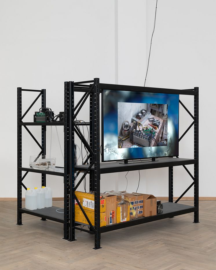 Yuri Pattison, The ideal (v/0.3.2) (2015-2021). 