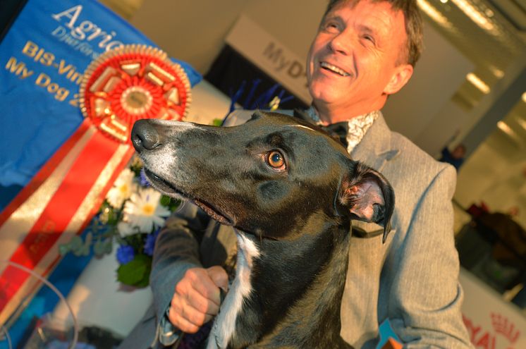 	Best in Show-vinnaren Jet's Just Leave Me Hanging On av MyDOGs Internationella utställning. 