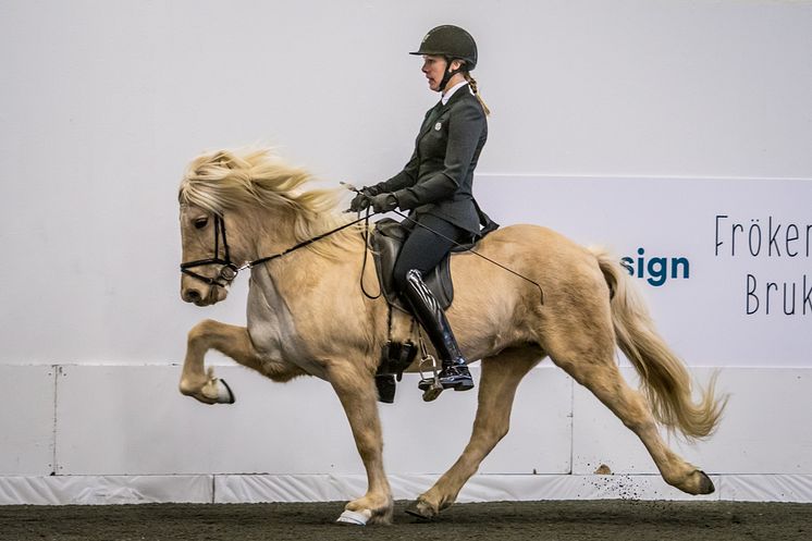 Sys Pilegaard och Ljóska frá Borgareyrum på Elmia Icelandic Power Show.