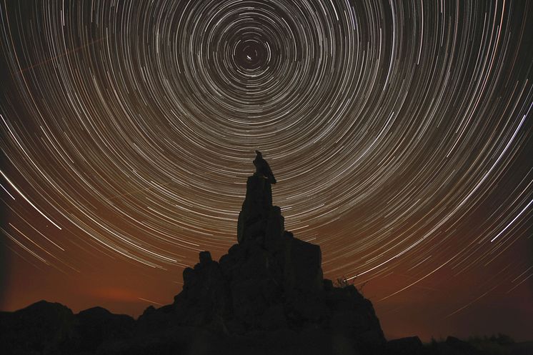 Startrails over mindesmærket  på Wasserkuppe (Rhön) for faldne piloter i 1. Verdenskrig