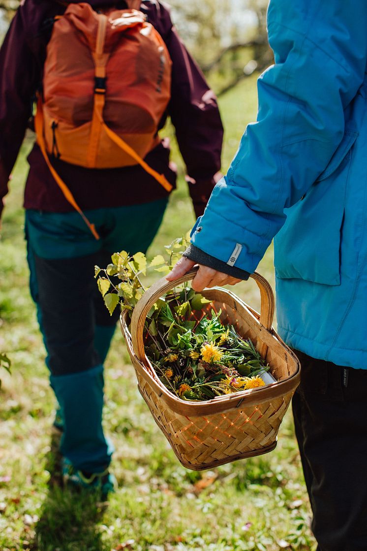 TheEdibleCountry_20190513_FotografEmmaIvarsson-3 (1)