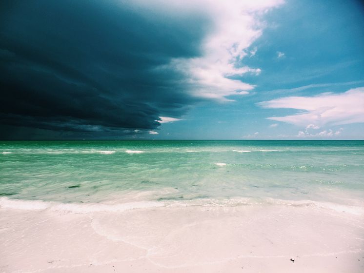 Beach-storm-wren-meinberg-bgONjl6y3bI-unsplash