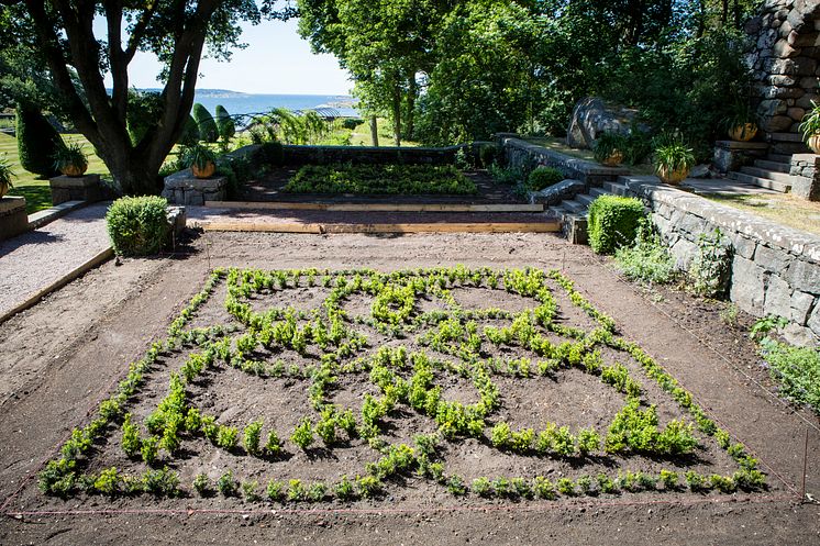 Wahlmans knot garden. 