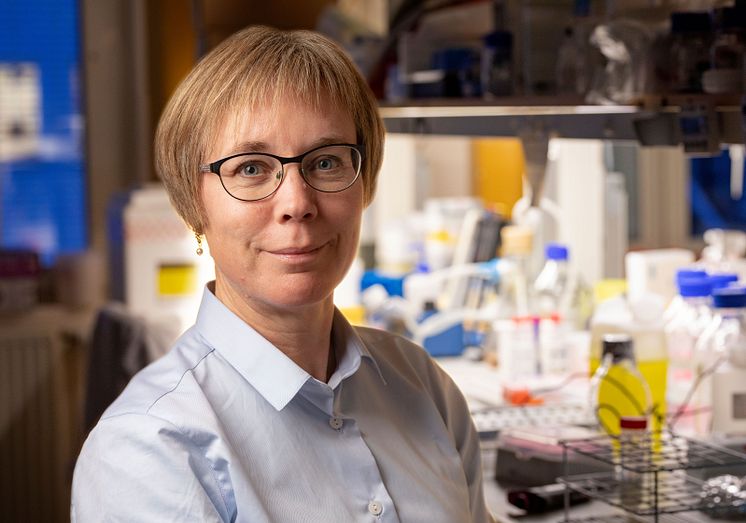 Karin Forsberg Nilsson, professor vid institutionen för immunologi, genetik och patologi, Uppsala universitet.  