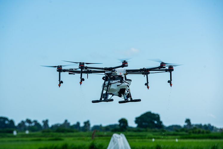 DJI Agras MG1-S Spray Drone flying over rice fields