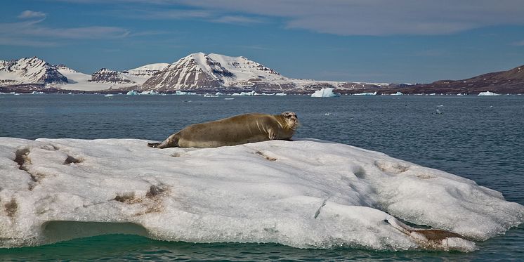 Complete-Spitsbergen-Expedition_Illustration-Photo_Kongsfjorden©Per-Lillehagen