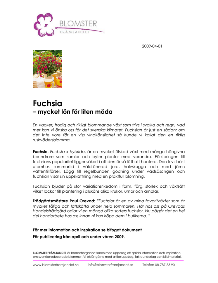 Fuchsia  – mycket lön för liten möda 