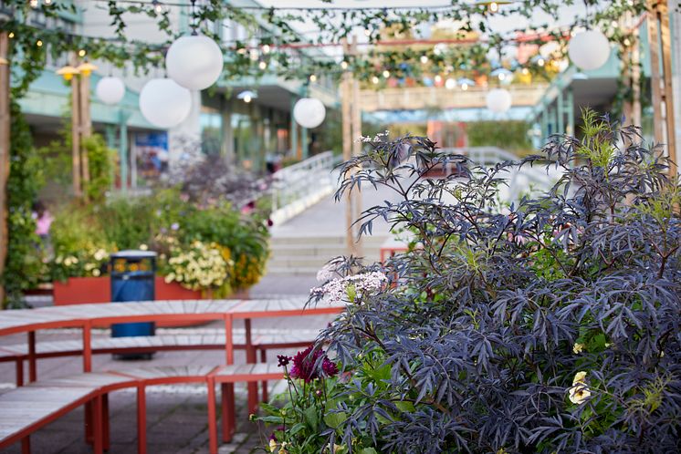 Vårväderstorget_trädgårdstorgjpg