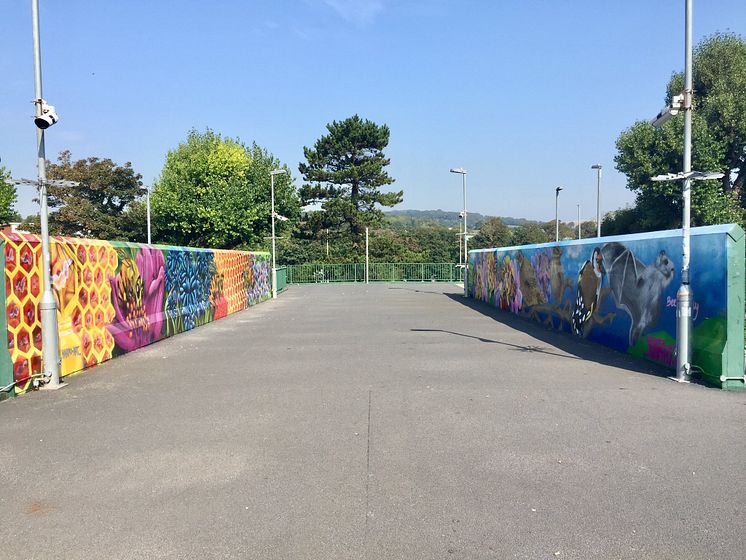 Falmer station mural