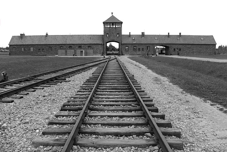 The Unseen Holocaust