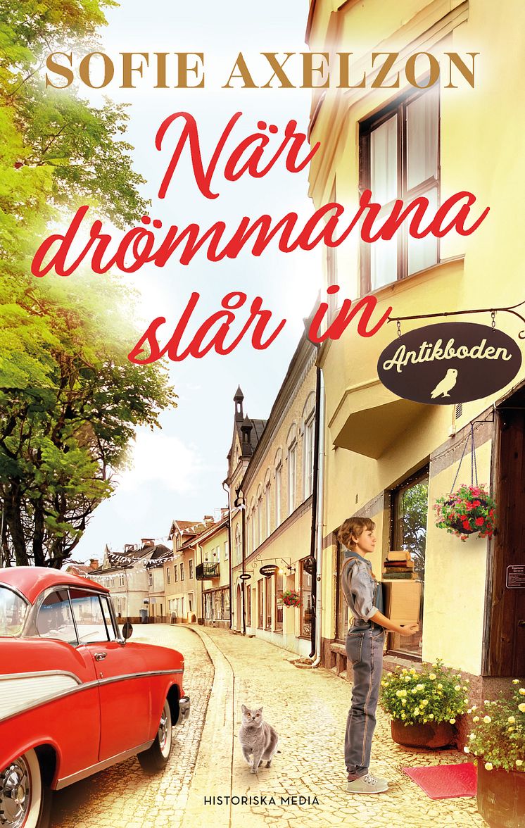 När drömmarna slår in omslag