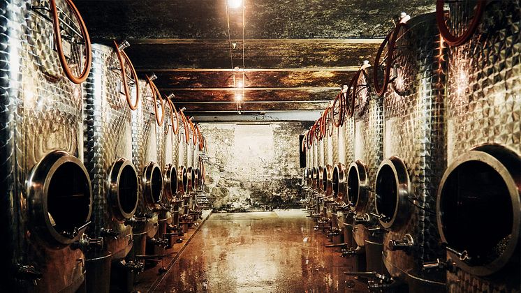 doennhoff-weingut-13.jpg