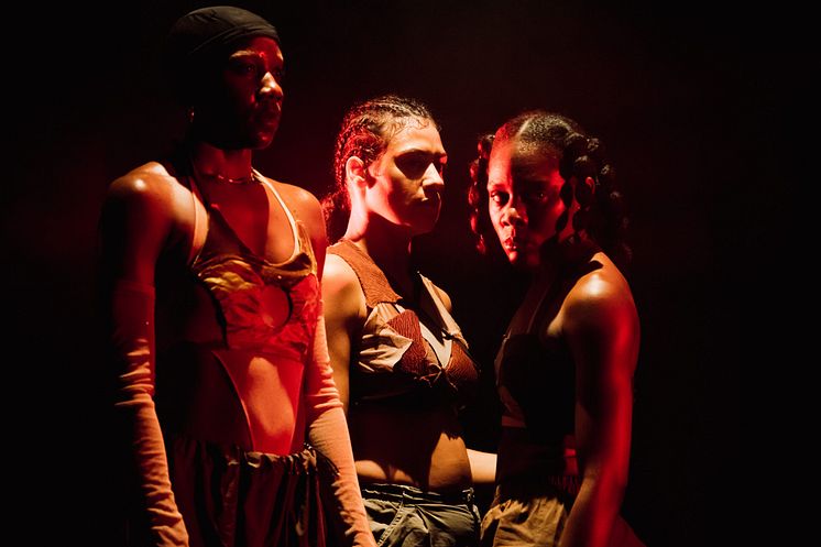 The Barefoot Diva / Company Nicolas Huchard