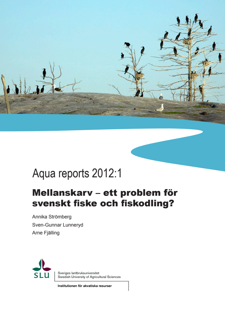 Aqua reports 2012:1: Mellanskarv – ett problem för svenskt fiske och fiskodling? 