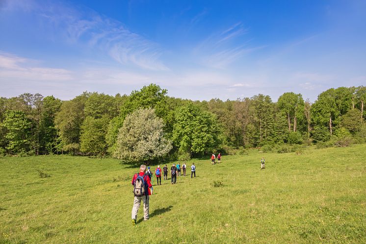 64107212-group-of-people-walking-in-a-meadow-on-a-beautiful.jpg