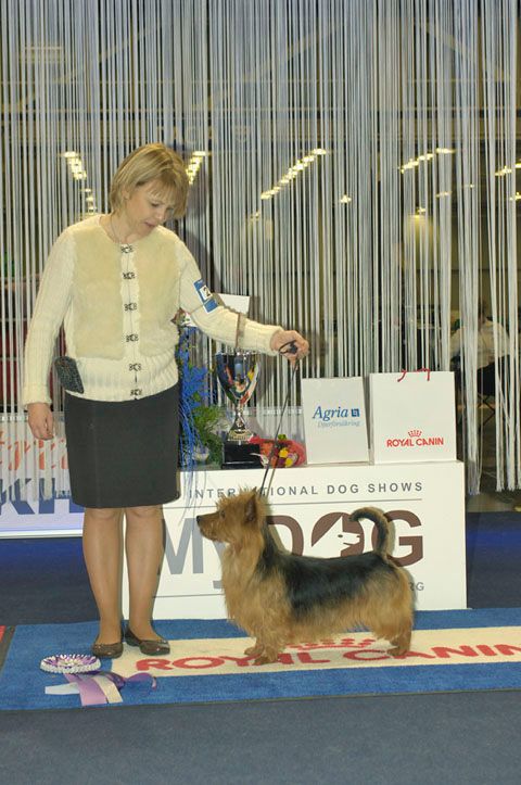 MyDOG 2012