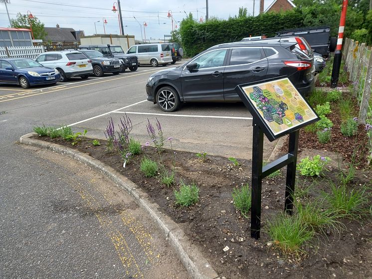 Bee garden at Downham Market