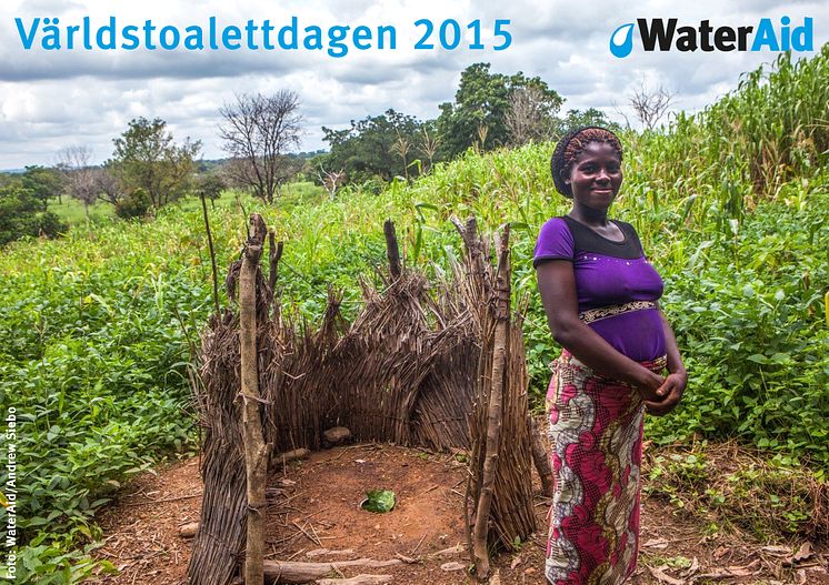 Världstoalettdagen 2015